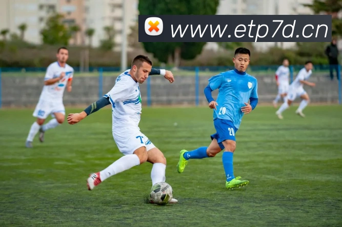 emc易倍全站网页版平台生态图